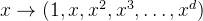 x \rightarrow (1, x, x^2, x^3, \ldots, x^d)
